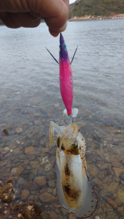 午後からエキング