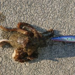 スカイブルーの下でブルーランナー