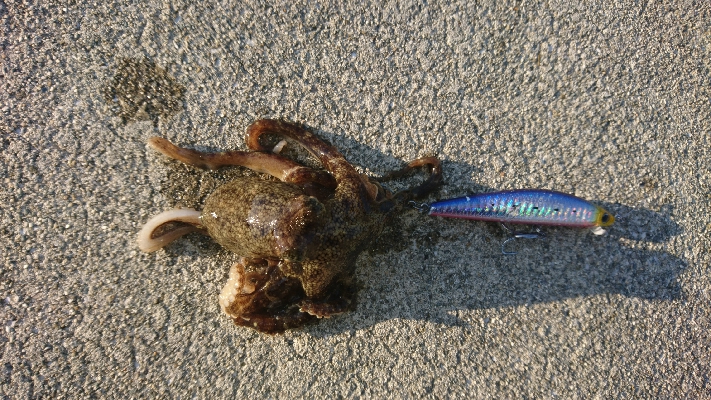 スカイブルーの下でブルーランナー