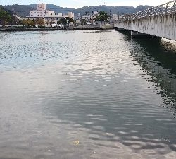 シーバスに会えなかったが…