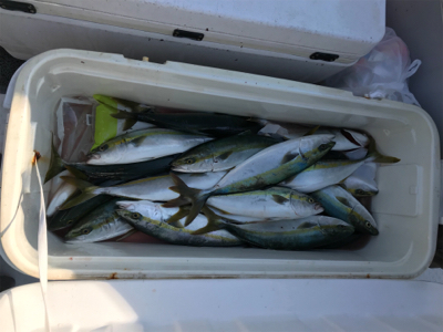 今年初太刀パターン