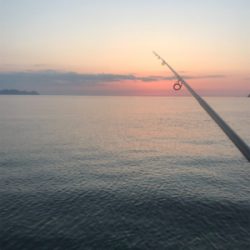 賑わってました