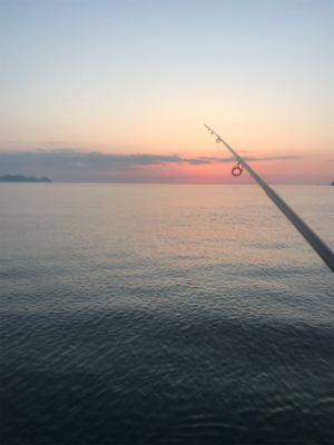 賑わってました