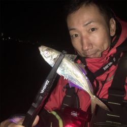 早朝アジング！回遊あった！☆GUNNING-STYLE