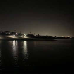 アジ、メバル④