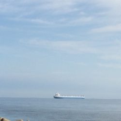 ショアジギング初心者のサワラ釣果