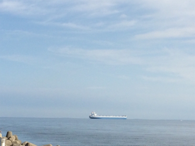 ショアジギング初心者のサワラ釣果