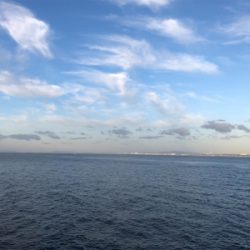 巨大エソをバラす