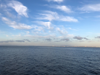 巨大エソをバラす