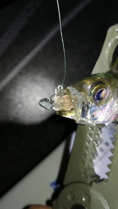 ナイトアジング