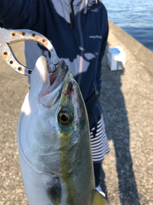 秋の釣りを満喫！