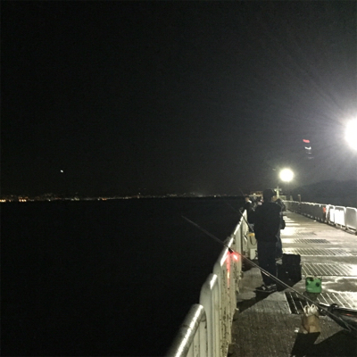 ヘビーミノーアカキンでハマチ！