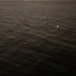 ホーム調査(^^)時合が一瞬だけ（泣）