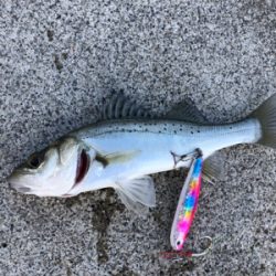 たまたま食ってくれた…^ ^♪?