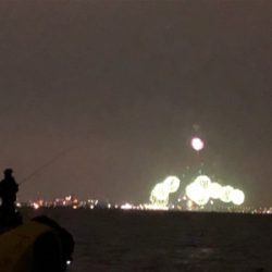 ムコイチ タチウオ&花火会場