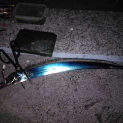 渋い中、何とか功を制す