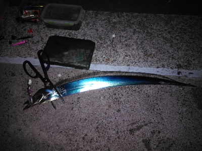 渋い中、何とか功を制す