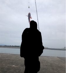 三国突堤ジギング 、穴釣り