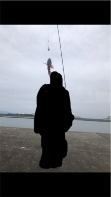 三国突堤ジギング 、穴釣り