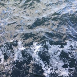 ライトショアジギング