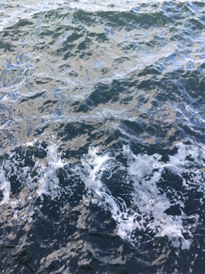 ライトショアジギング