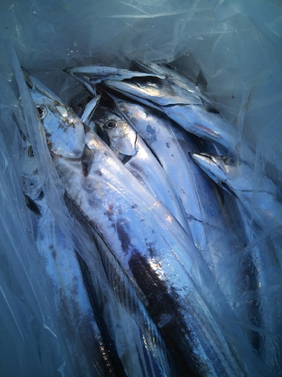 バイキング６時間