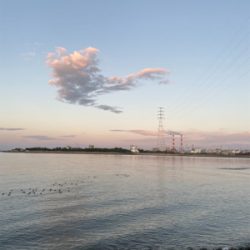 ジャックアイ　マキマキ