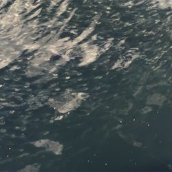 寒くなってきましたが海水温度は暖かい