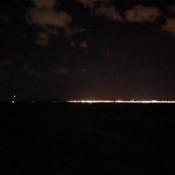 炙り刺身が食べたくて