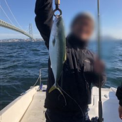 青物ノマセ釣行