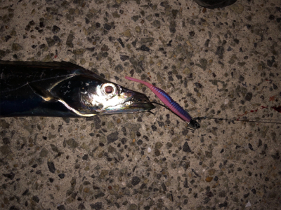 右も左もドラゴン