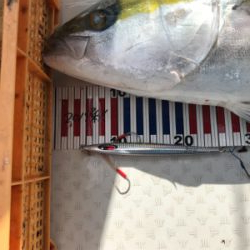 ビックファイター釣行 シマノ5番ぶち曲げました