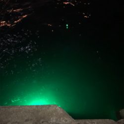 渋いなかの貴重な一匹