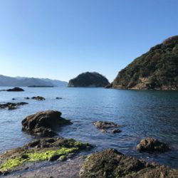 今年のイカ納めかな？！