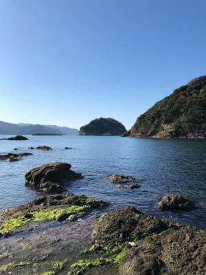 今年のイカ納めかな？！