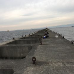 ドラゴンピンテール