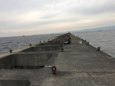 ドラゴンピンテール