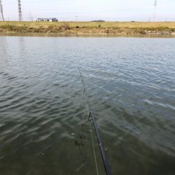 のんびりデイゲーム