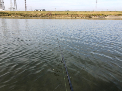 のんびりデイゲーム