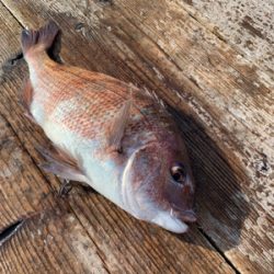 釣堀 水宝さんにて