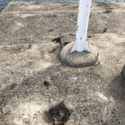 今年のラストエギング