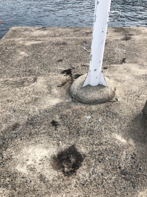 今年のラストエギング