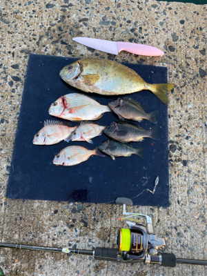 天気が良く気持ち良かったです。