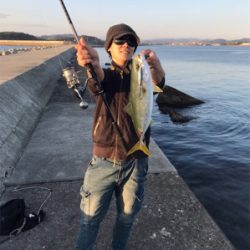 ハマチ!ヒイカ!!短時間で絶好釣!!