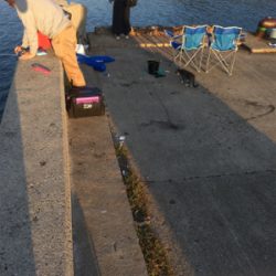 淡路島かるーい釣り