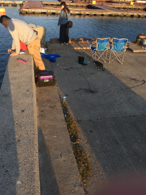 淡路島かるーい釣り