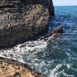 グレフカセ釣り