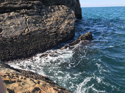 グレフカセ釣り