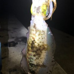 一投目できた幸運