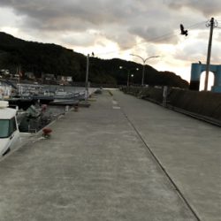 朝マズメに賭けてみた